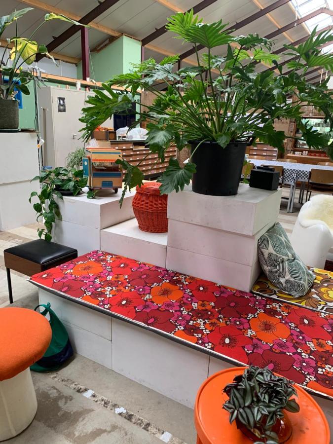 Het Lage Noorden Acomodação com café da manhã Marrum Exterior foto